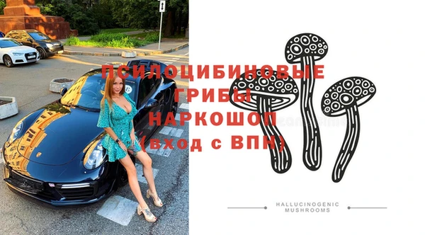винт Лабытнанги